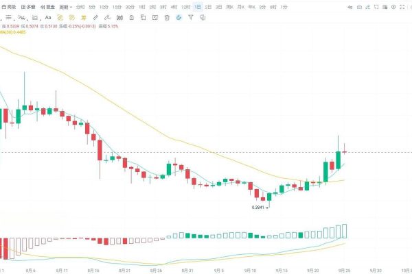 What Factors Are Driving Bitget’s Market Share Growth?